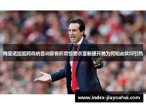 梅里诺加盟阿森纳首训即骨折震惊更衣室新援开局为何如此坎坷引热