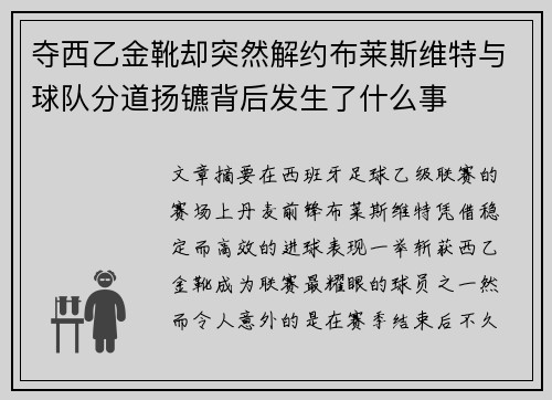夺西乙金靴却突然解约布莱斯维特与球队分道扬镳背后发生了什么事